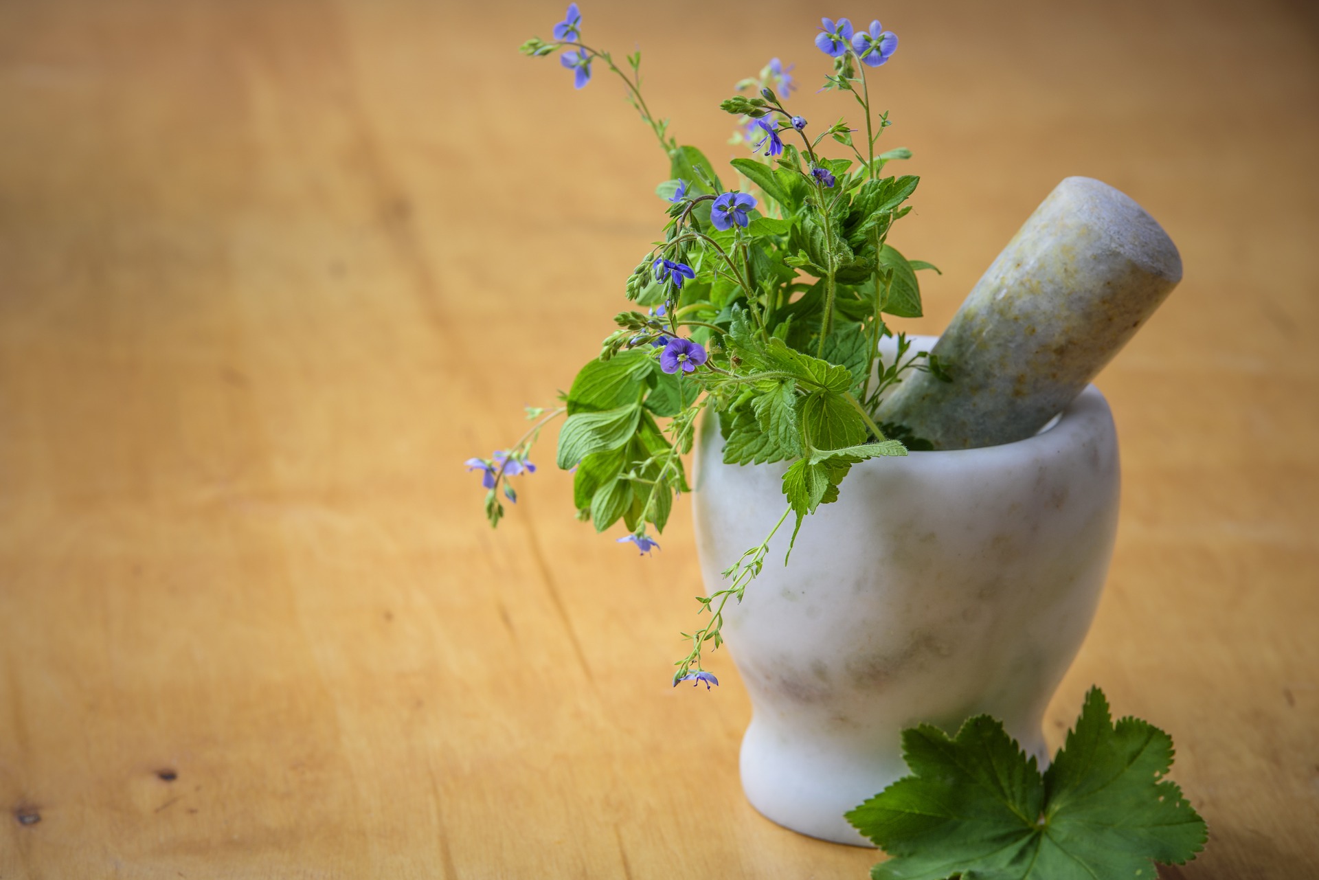 natural-medicine-1426647_1920
